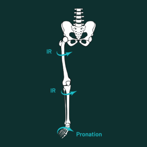 hip knee foot