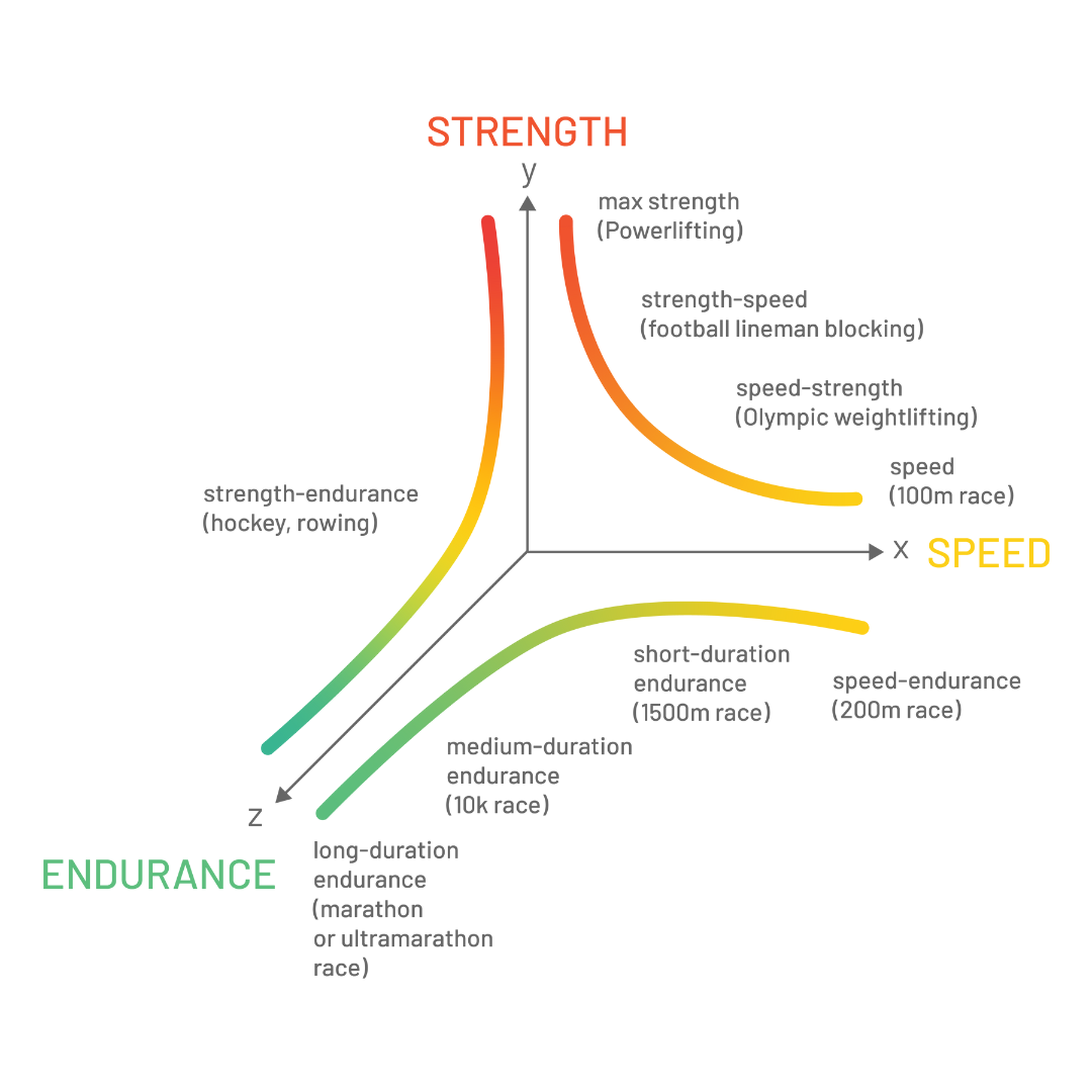 various sport continuum various sport continuum