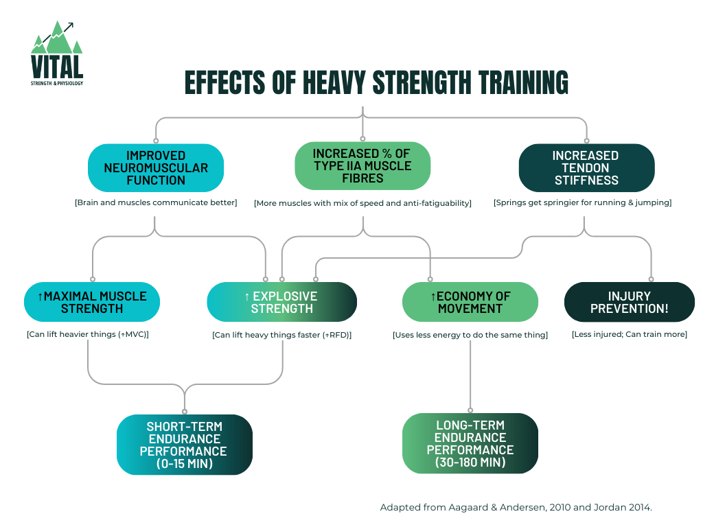effects of heavy strength training table matt jordan aagaard andersen effects of heavy strength training table matt jordan aagaard andersen