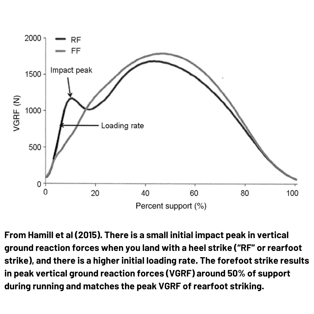 rearfoot striking vs forefoot striking rearfoot striking vs forefoot striking