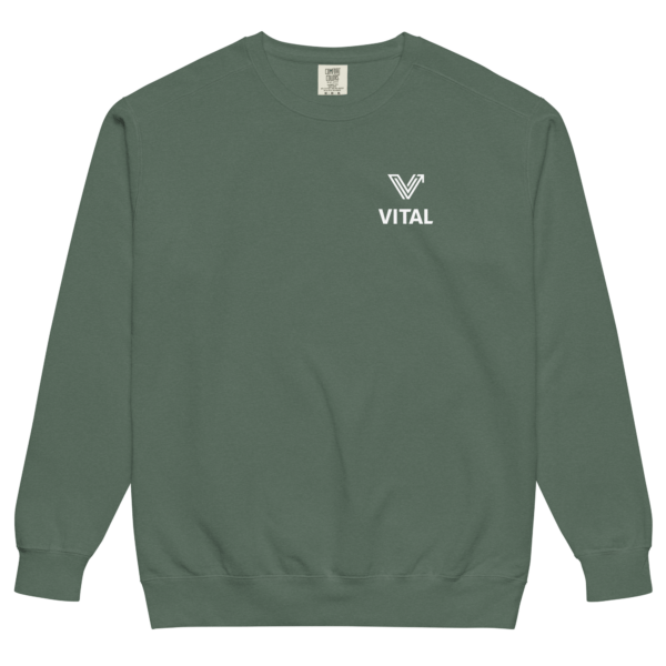 spruce green washed crewneck