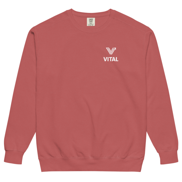 crimson red washed crewneck