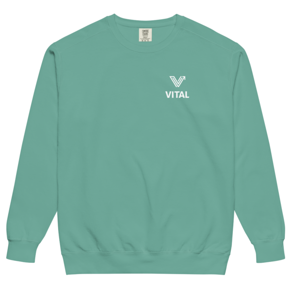 light seafoam green washed crewneck