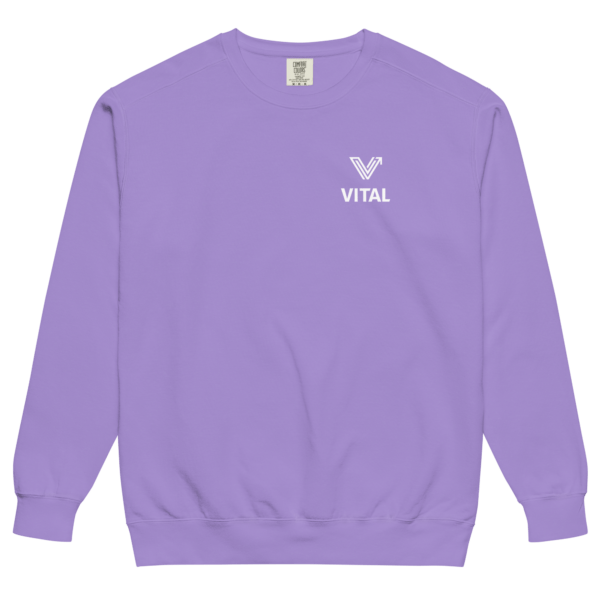 vintage washed violet crewneck