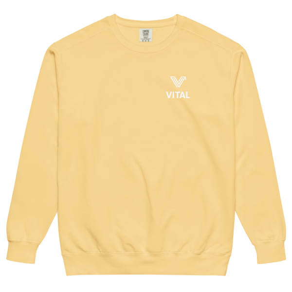 butter yellow washed crewneck