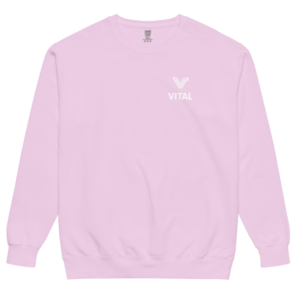 orchid pink washed crewneck