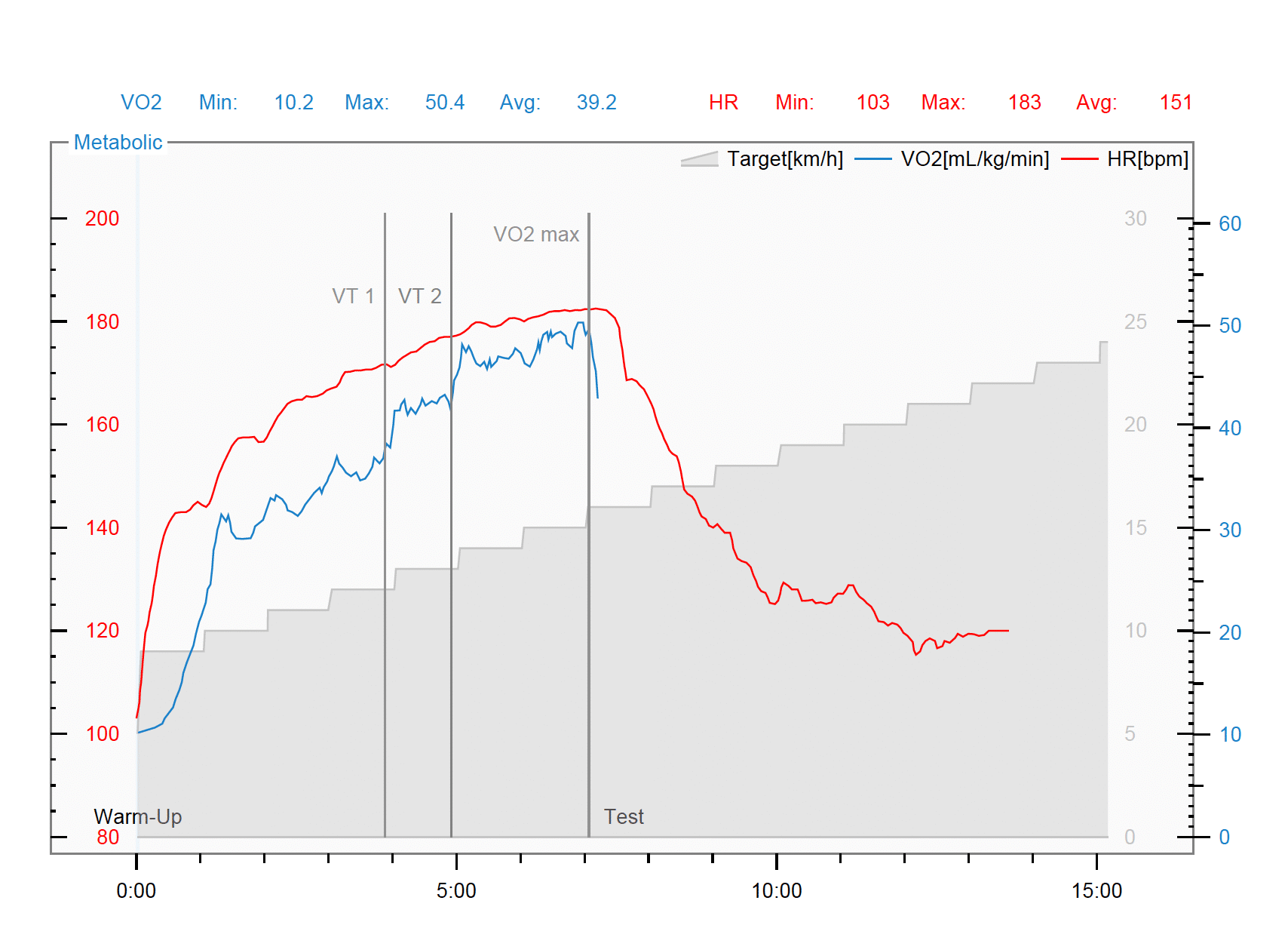 vo2 max testing report